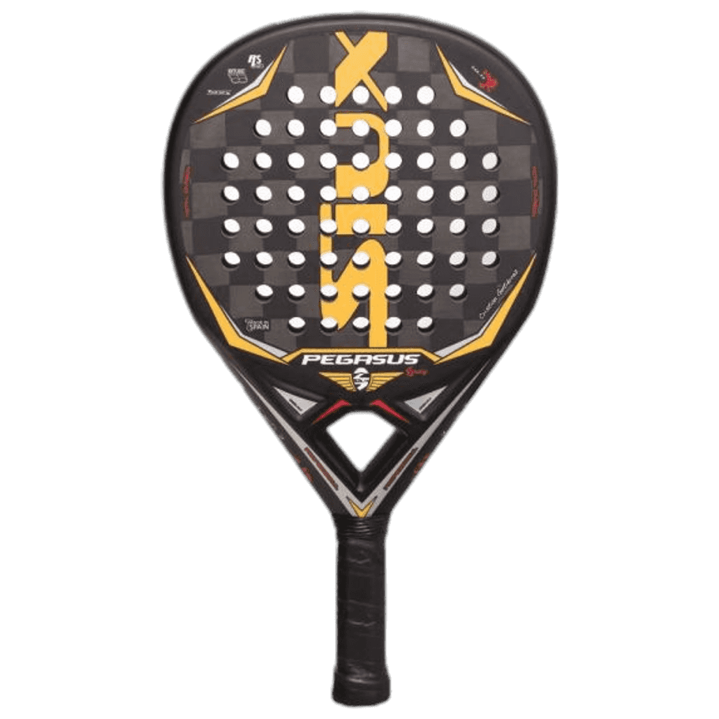 Siux Pegasus Luxury 2021 professional padel racket